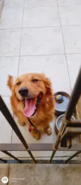 Bob