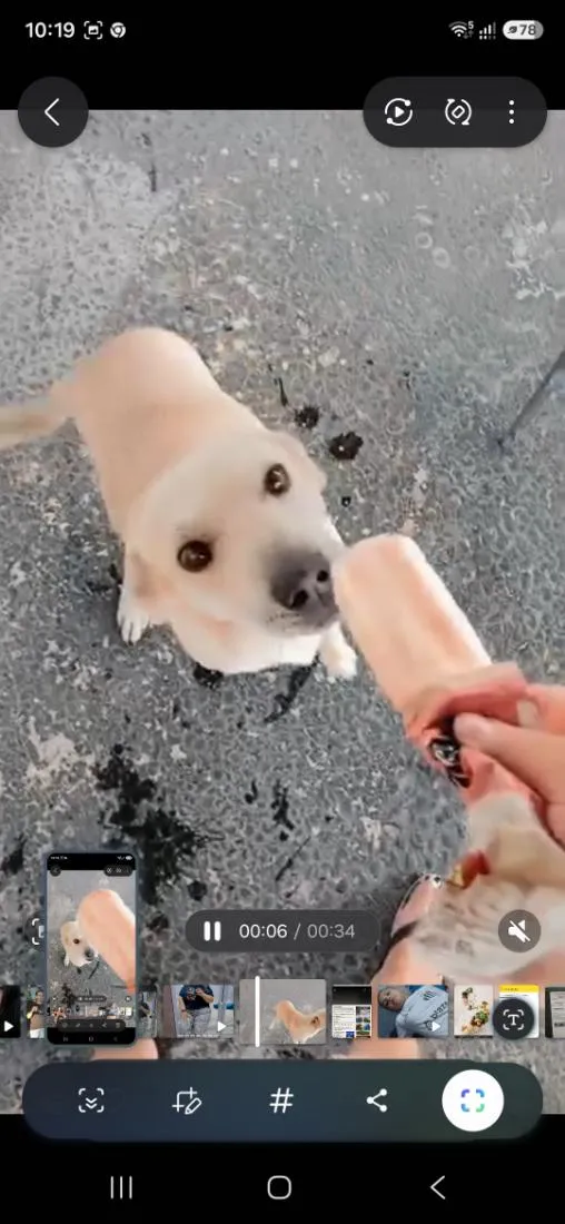 Cachorro raça SRD-ViraLata idade 6 ou mais anos nome Luke