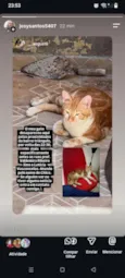 Chico