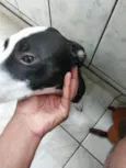 Penélope