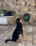 Zoe