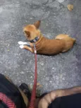 Freeda