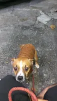 Freeda