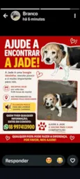 Jade