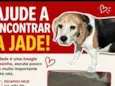 Jade