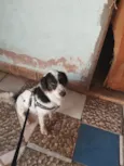 Barão e Aquiles