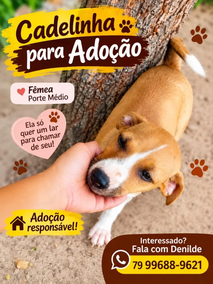 Cachorro raça SRD-ViraLata idade 2 a 6 meses nome mel