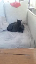 nico e nora