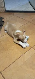 Sammy 