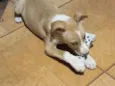 Sammy 