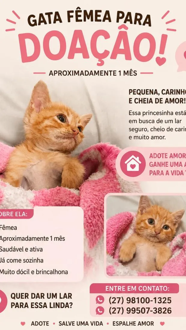Gato raça SRD-ViraLata idade Abaixo de 2 meses nome Gatinha 