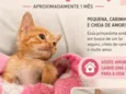 Gatinha 