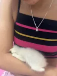 Tonico