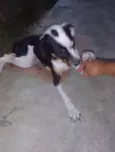 mumu