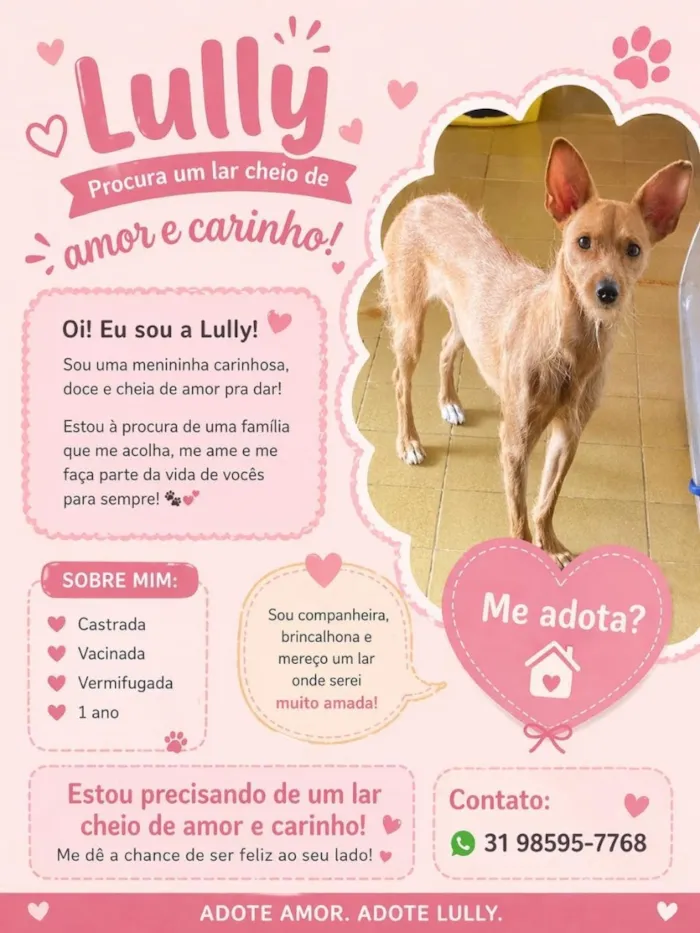 Cachorro raça SRD-ViraLata idade 1 ano nome Lully