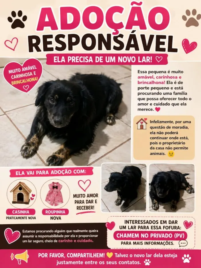 Cachorro raça SRD-ViraLata idade 3 anos nome princesa