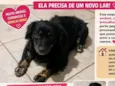 princesa