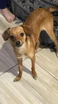 Bella