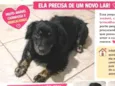 princesa