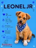 Leonel Jr