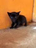 Não possui nome