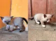 Não possui nome