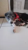 Não tem nome 