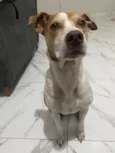 Linda