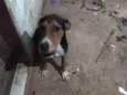 thuthuco