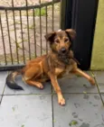 Jude