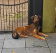 Jude