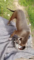 Nina