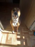 Bob