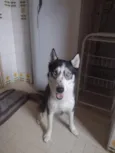 zoe