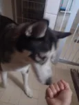 zoe