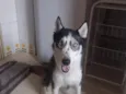 zoe