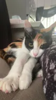 Mel