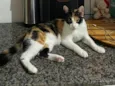Mel