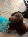 Marley 
