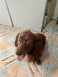 Marley 