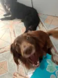 Marley 