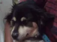 Beethoven