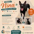 Nina