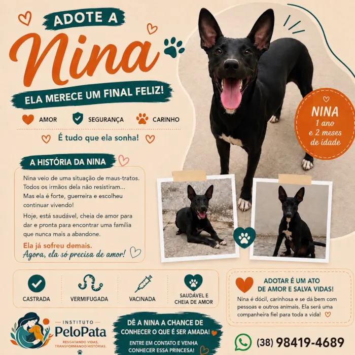 Cachorro raça SRD-ViraLata idade 1 ano nome Nina