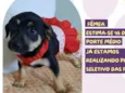 Terezinha