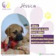 Jéssica