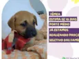 Jéssica
