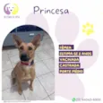 Princesa