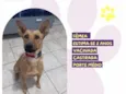 Princesa
