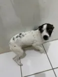 Pity
